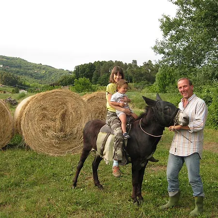 Dreamers Farm stay *