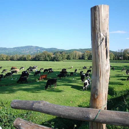 Farm stay Dreamers San Macario In Piano